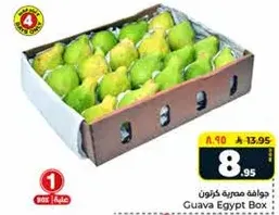 Guava Egypt Box