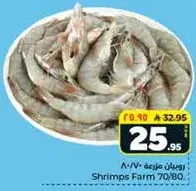 Shrimps Farm 70/80