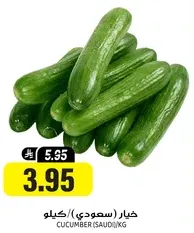 Cucumber (Saudi) per kg