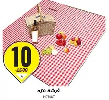 Picnic mat