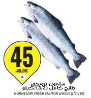 Norwegian fresh salmon whole (2/3) kg