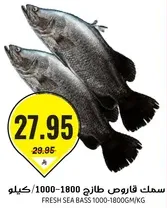 Fresh sea bass 1000-1800g/kg