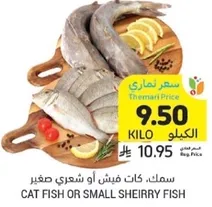 سمك، كات فيش او شعري صغير