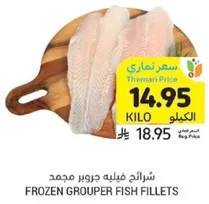 Frozen grouper fish fillets