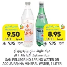 San Pellegrino Spring Water or Acqua Panna Mineral Water, 1 liter
