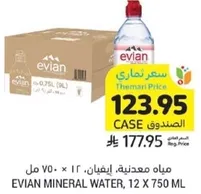 Evian Mineral Water, 12 x 750 ml
