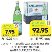 S.Pellegrino Mineral Water Glass, 12 x 750 ml