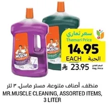 منظف اصناف متنوعه، مستر ماسل، 3 لتر