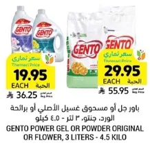 Gento Power Gel or Powder Original or Flower, 3 liters - 4.5 kilos
