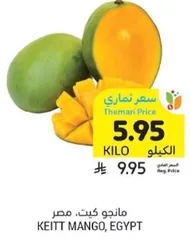 Keitt Mango, Egypt