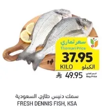 Fresh Dennis Fish, KSA
