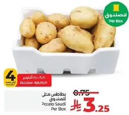 بطاطس مثل المسمي