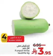 قرع ابيض