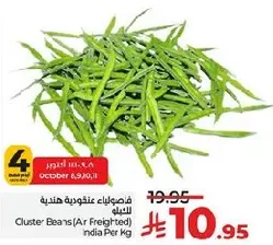 فاصوليا عنقوديه هنديه