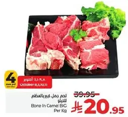 Bone In Camel BIG