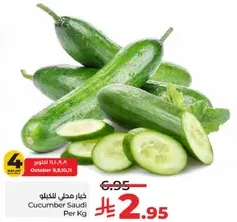 Cucumber Saudi Per Kg