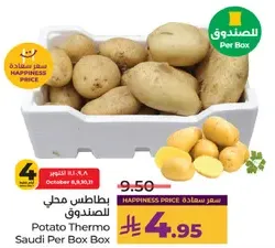 Potato Thermo Saudi Per Box Box