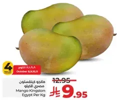 Mango Kingston from Egypt, sold per kilogram.
