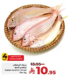 Sultan Ibrahim Small Per Kg