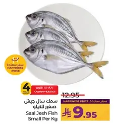 Saal Jesh Fish Small Per Kg
