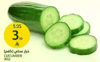Fresh cucumber, sliced.