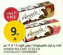 Amada Pia Cake 12.5g x 8 Chocolate/Raspberry