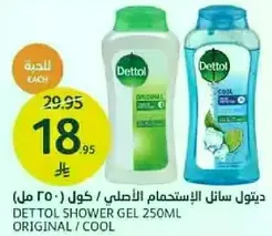 Dettol Shower Gel 250ml Original / Cool