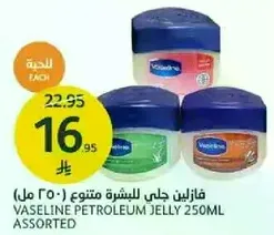 Vaseline Petroleum Jelly 250ML Assorted