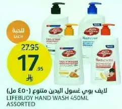 Lifebuoy Hand Wash 450ml Assorted