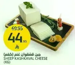 Sheep Kashkaval Cheese