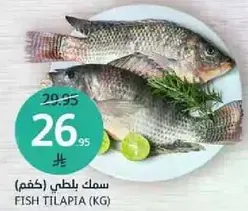 Fish Tilapia (KG)