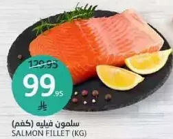 Salmon fillet (kg)