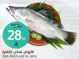 Local sea bass (kg)