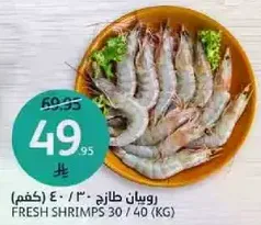 Fresh Shrimps 30/40 (kg)