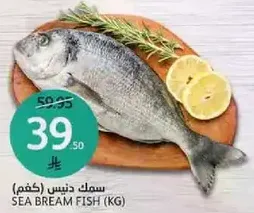 Sea Bream Fish (KG)