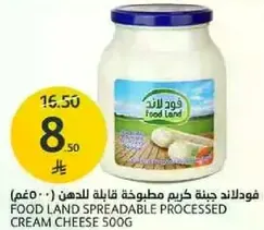 Food Land spreadable processed cream cheese 500g