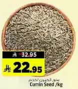 Cumin Seed