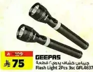 Flash Light 2Pcs 3sec GFL4637