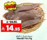 سمك مندلي/كغ