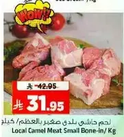 Local Camel Meat Small Bone-in / Kg
