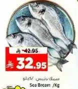 Sea Bream /Kg
