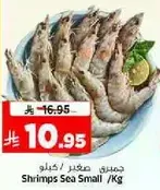 جمبري صغير / كيلوجرام