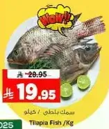سمك بلطي / كغ