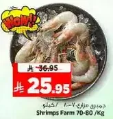 Shrimps Farm 70-80/Kg