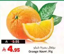 Orange Navel /Kg