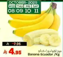 Ecuadorian Bananas