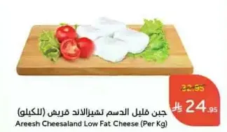 Areesh Cheesaland Low Fat Cheese (Per Kg)