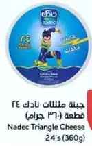 Nadec Triangle Cheese 24's (360g)