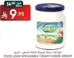 Food Land Spreadable Cream Cheese 500gm