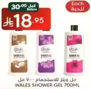 Wales Shower Gel 700ml